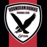 Horndean Hawks FC Logo