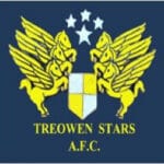 Treowen Stars Junior Football Club Logo