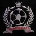 Workington Diamonds Logo