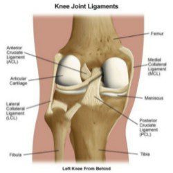 Knee ligament Injuries