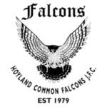 Hoyland Common Falcons