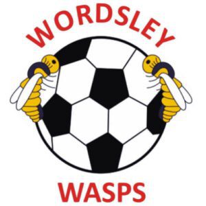 Wordsley Wasps FC